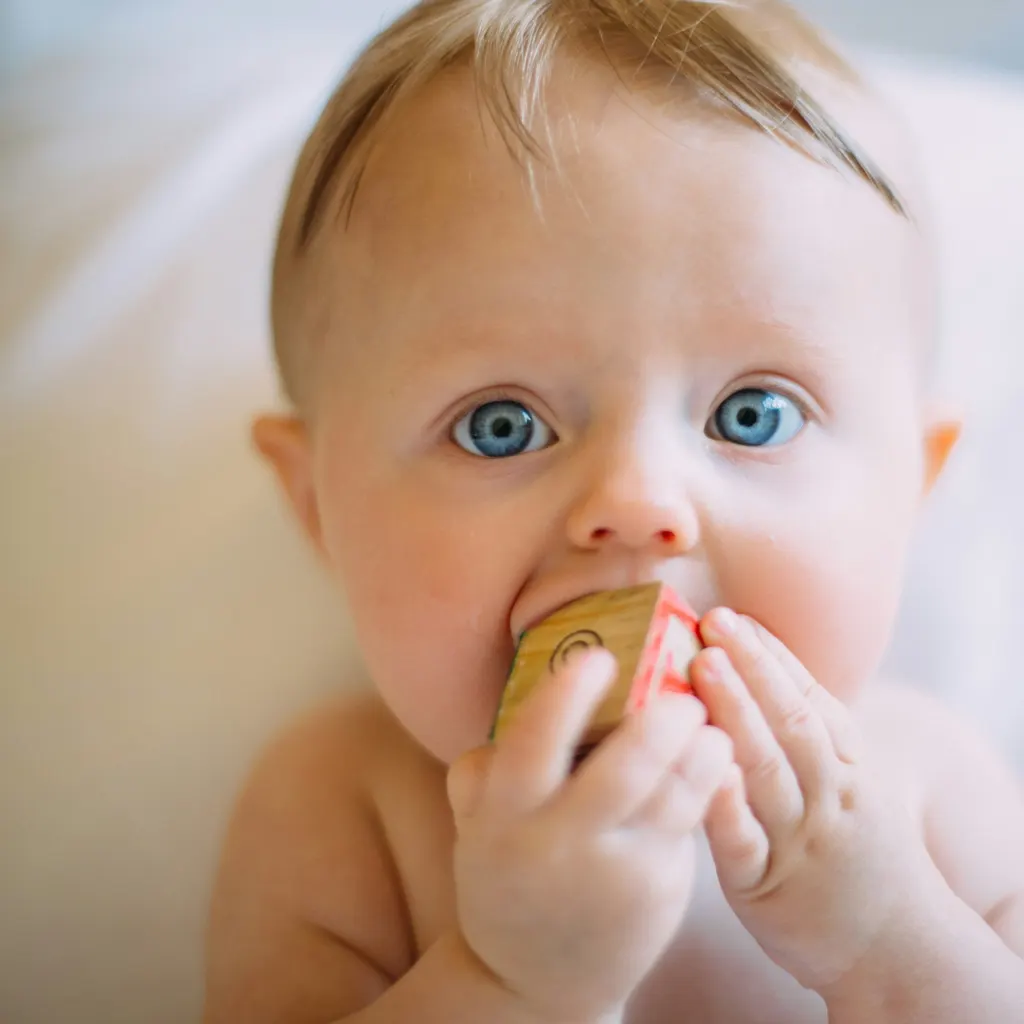 A baby chews on a wooden toy.